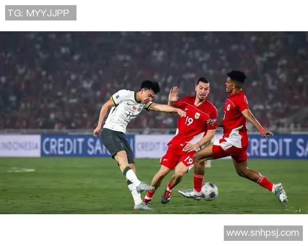 世界杯激战瑞典队中国足球的挑战与机遇分析